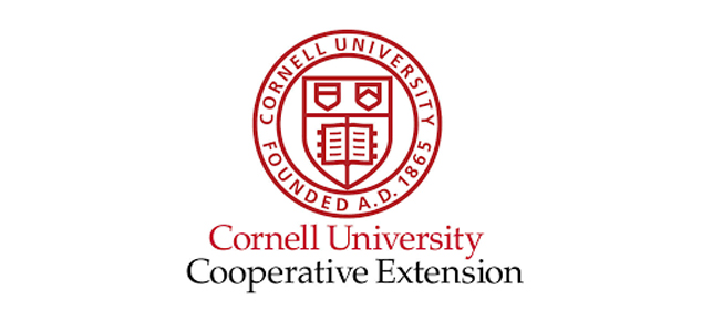 Cornell logo