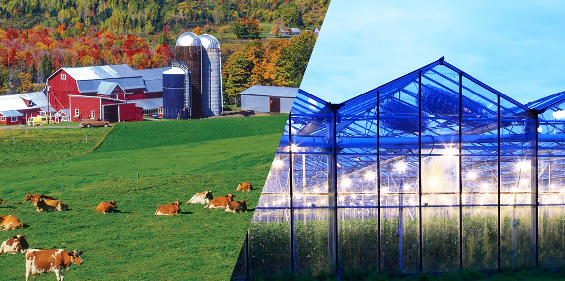 farm and greenhouse